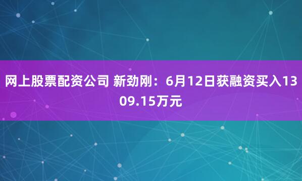 网上股票配资公司 新劲刚：6月12日获融资买入1309.15万元